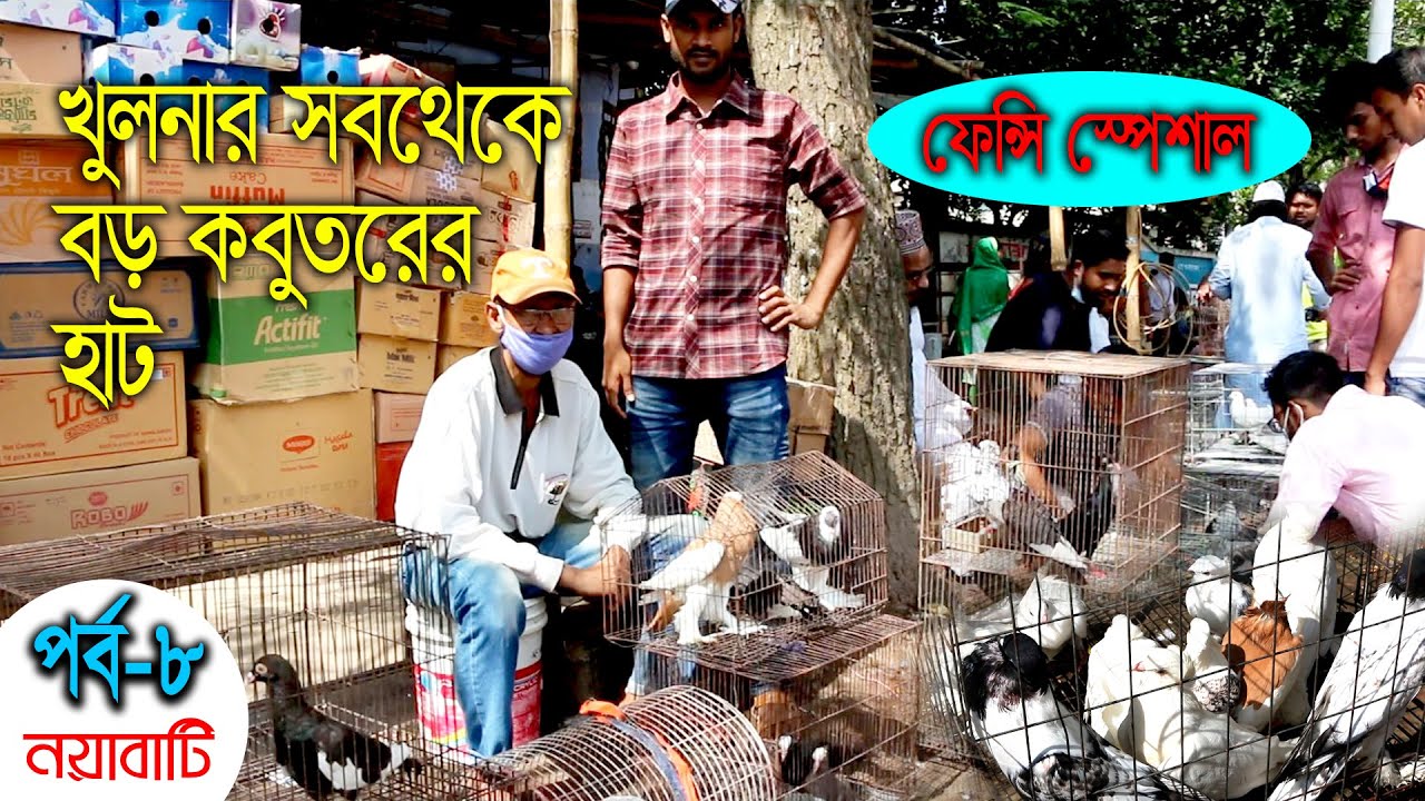 খুলনার সব থেকে বড় কবুতরের হাট (পর্ব-৮)।। The largest pigeon market in Khulna Noyabati