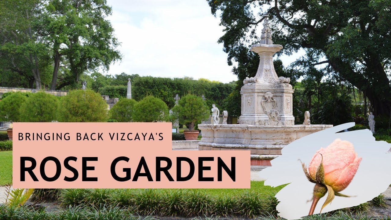 Planting Roses at Vizcaya Museum