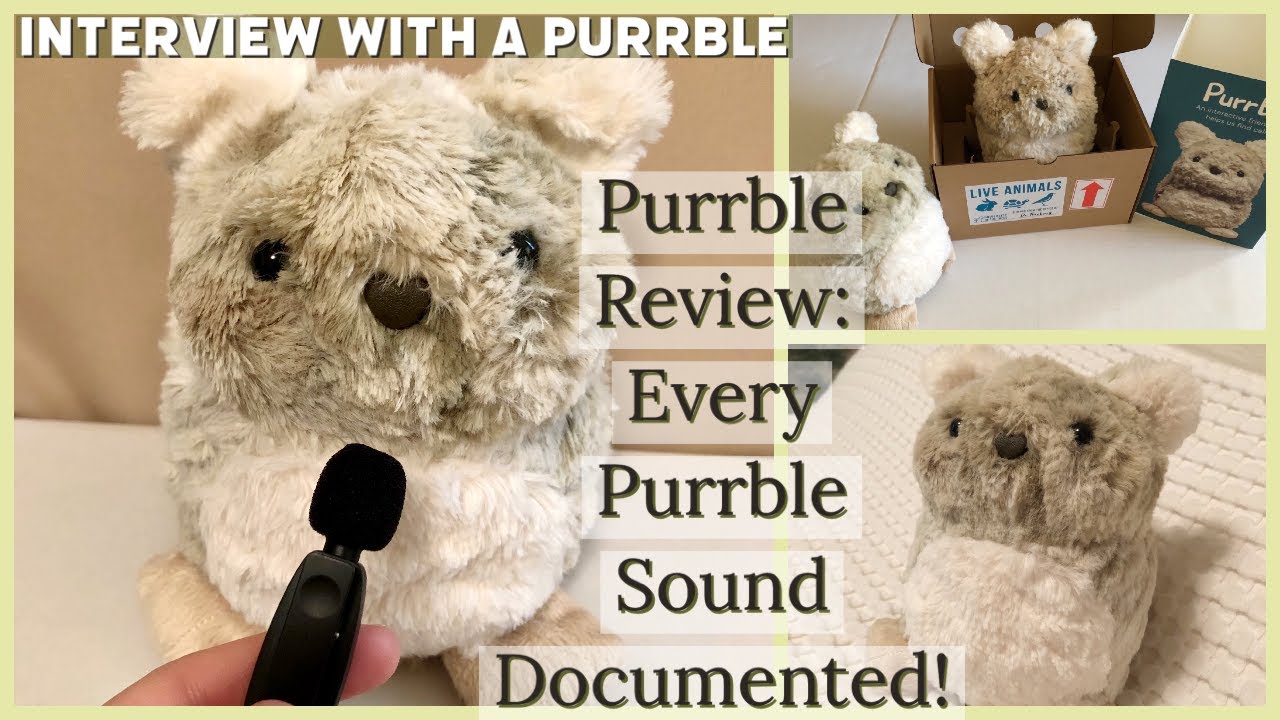 Purrble Interactive Calming Toy Review: Every Purrble Sound! #review #purrble #interactivetoys