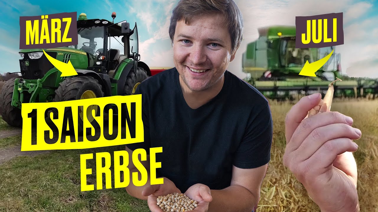 FarmVlog: От посева до сбора урожая – Гороховый выпуск | Сто гектаров дома
