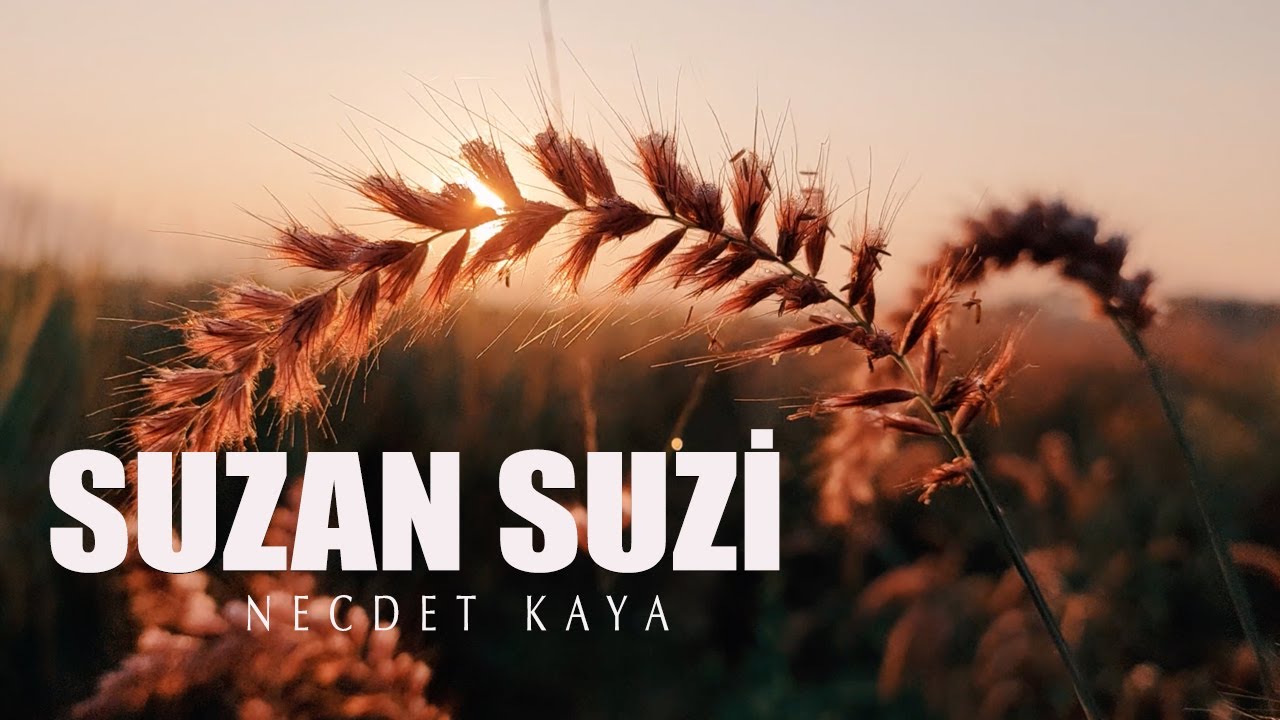 Necdet Kaya - Suzan Suzi