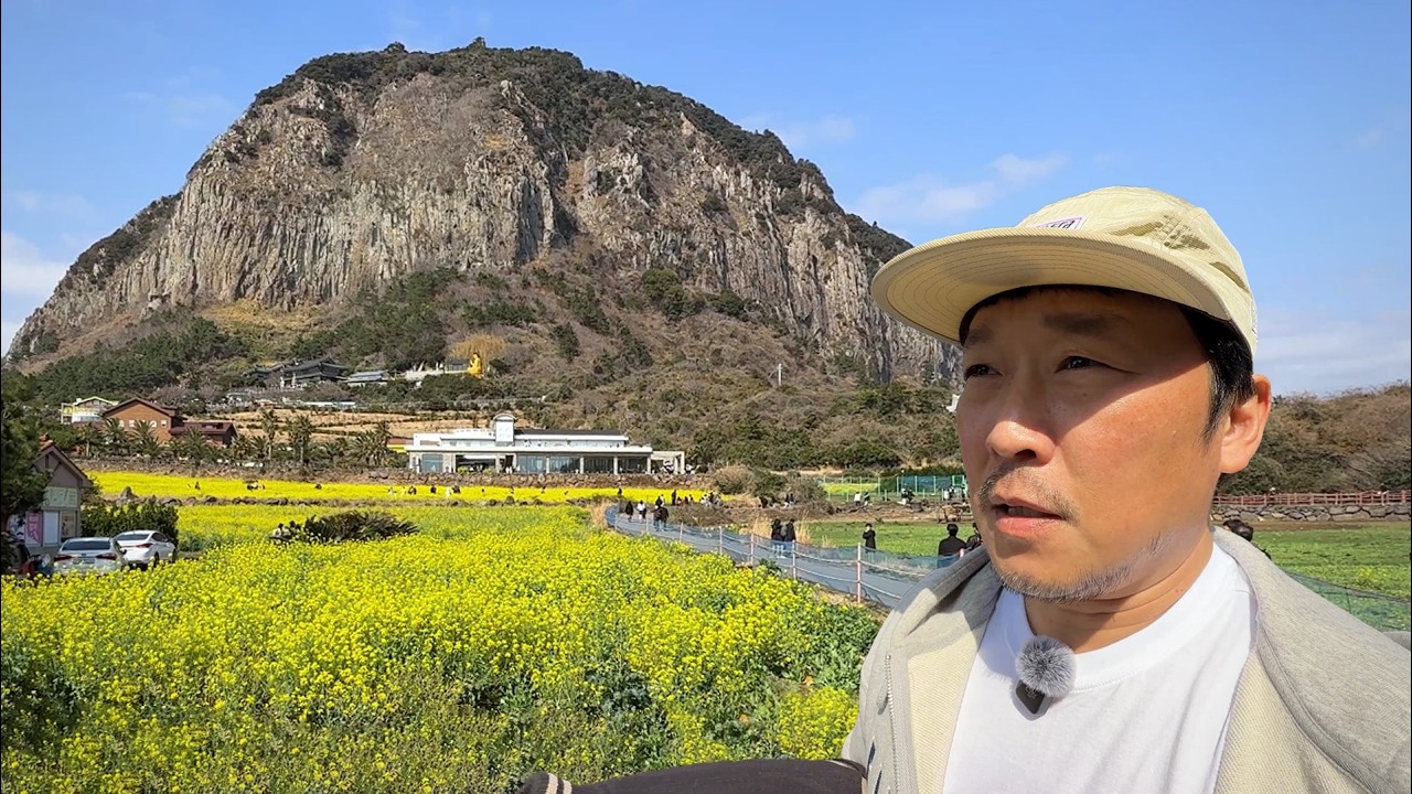 지금 아니면 못 보는 제주도 봄 여행 필수 코스
