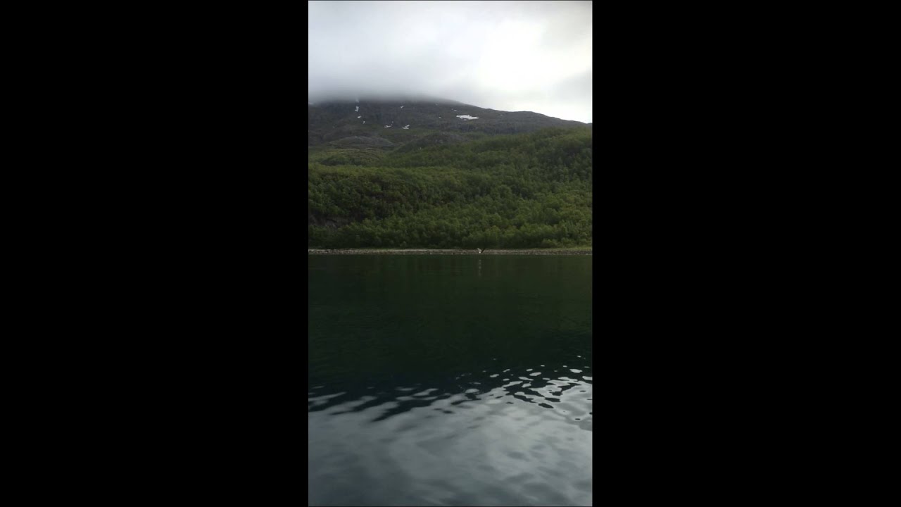 Eagel took fish from the sea on And&oslash;rja/