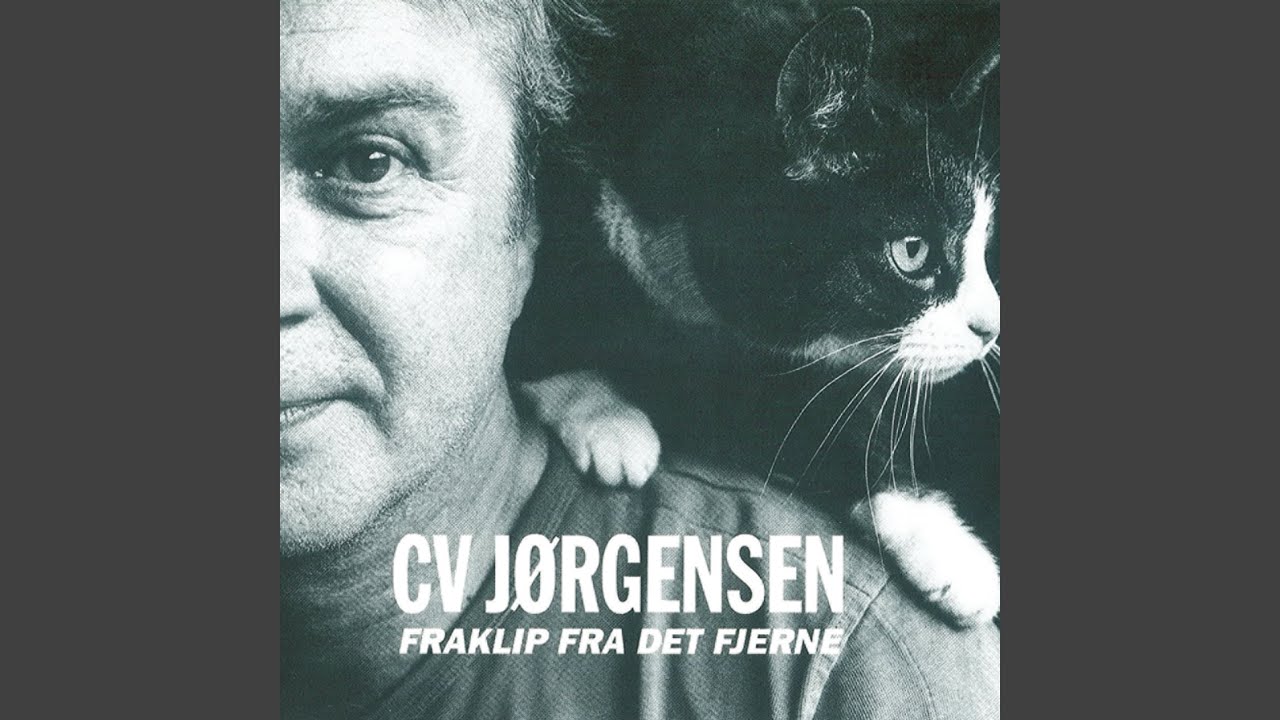 Alverdens Turbulens
