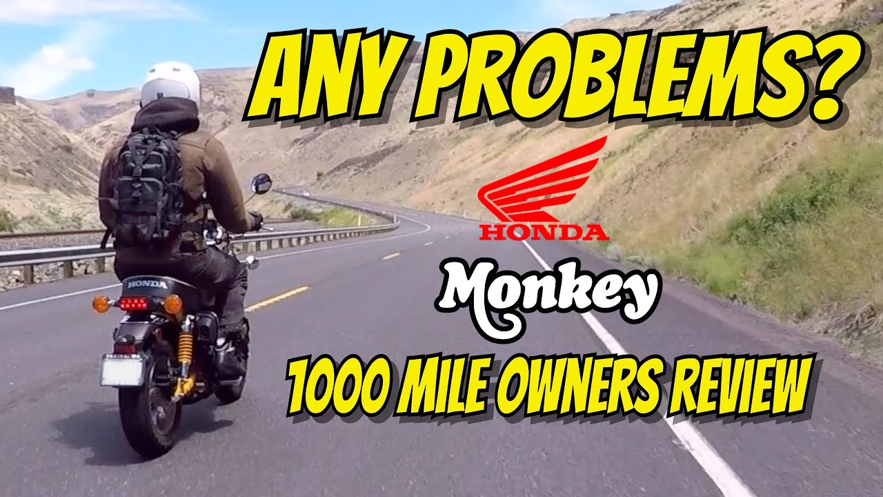 Honda Monkey Review After 1000 Miles - What Do I Think Of It? - An Owners Perspective