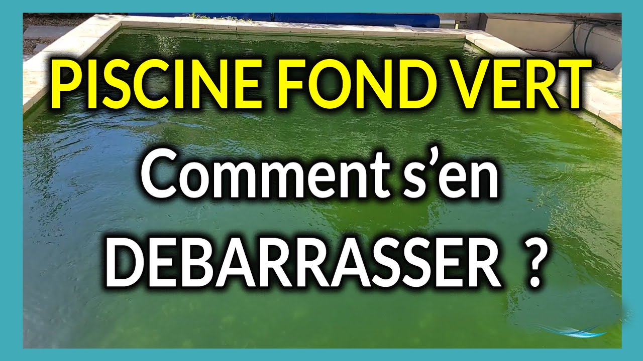 Piscine fond vert, comment s'en débarrasser