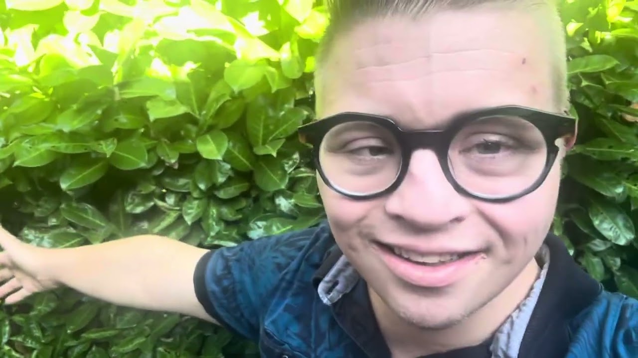 Verjaardagvlogs 