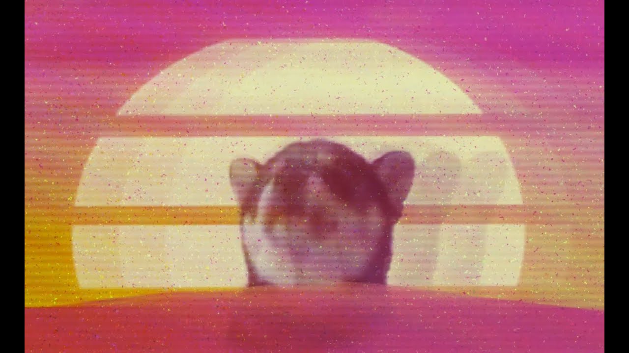 The Weeknd - Blinding Lights - Dog Cover