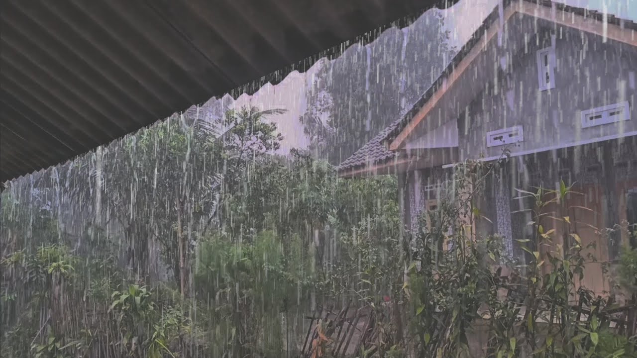 Relaxing Rain Sounds on the Roof for Deep Sleep & Rilexation 🌧