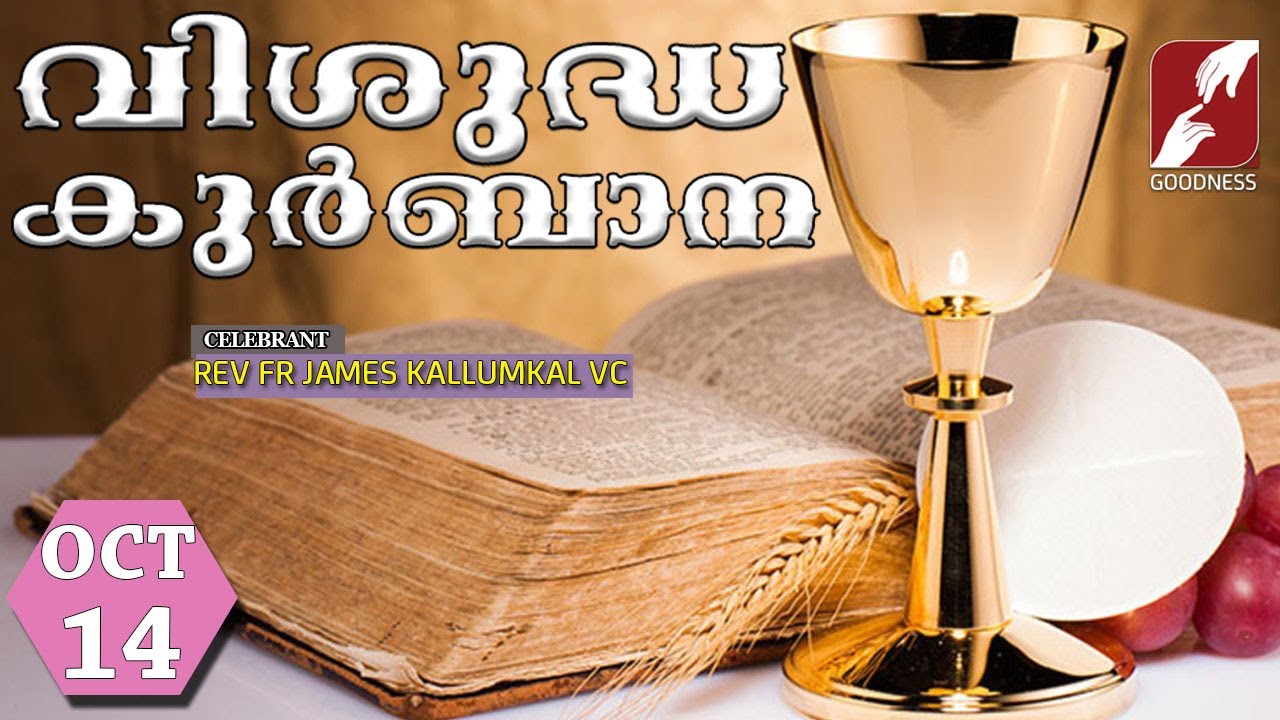 HOLY MASS LIVE @ 6 AM 14-OCT-2025|FR JAMES KALLUMKAL VC|MALAYALAM QURBANA|TODAY MASS|GOODNESS TV