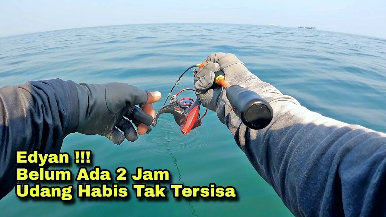 Ini Parah !!! Saking Banyaknya Ikan, Belum Ada 2 Jam Tempat Udang Saya Langsung Kosong