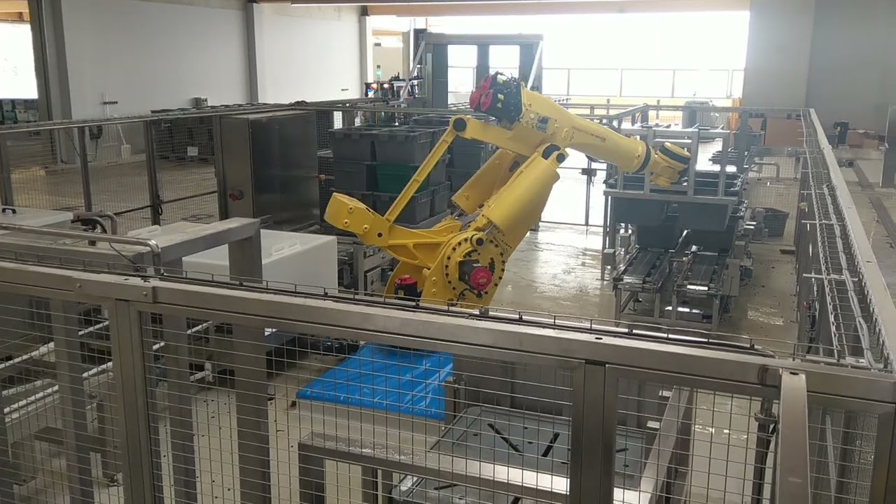 Ilot robotisé d'alimentation de pressoir vendanges / Automated grape press infeed unit