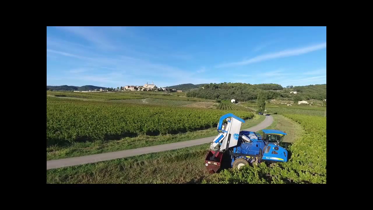 Vendanges 2016 New Holland Braud VL620 DJI Phantom4 & GoPro