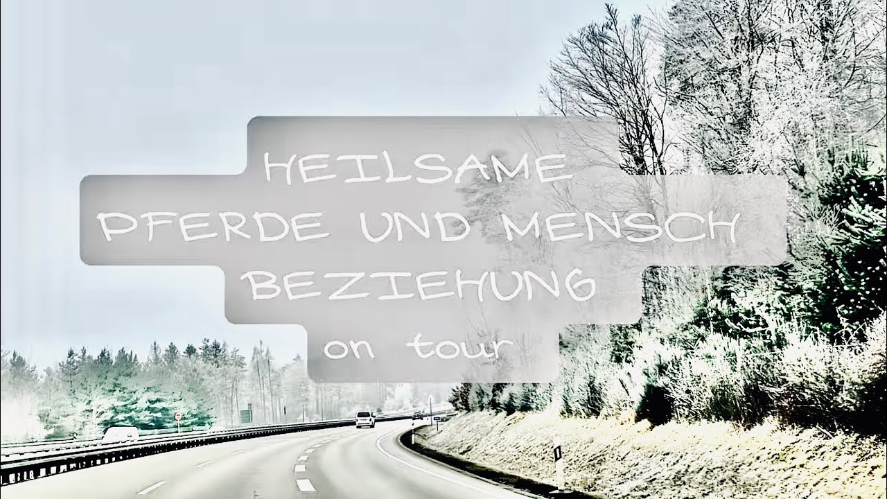 😎DAS HABEN WIR NOCH NIE GEMACHT 🥳