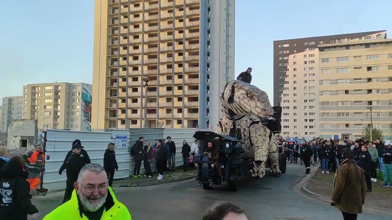 Le Varan de Calais
