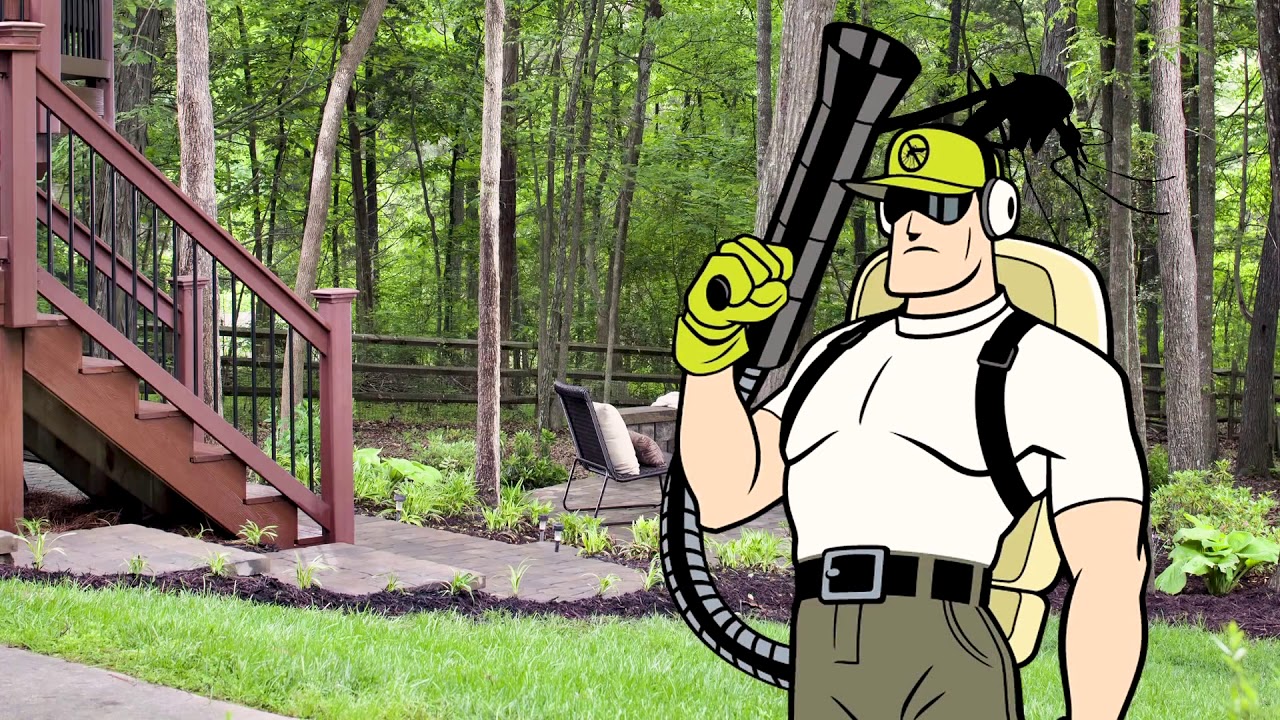 Mosquito Control Backyard in Houston Texas ~ Fun Outdoors
