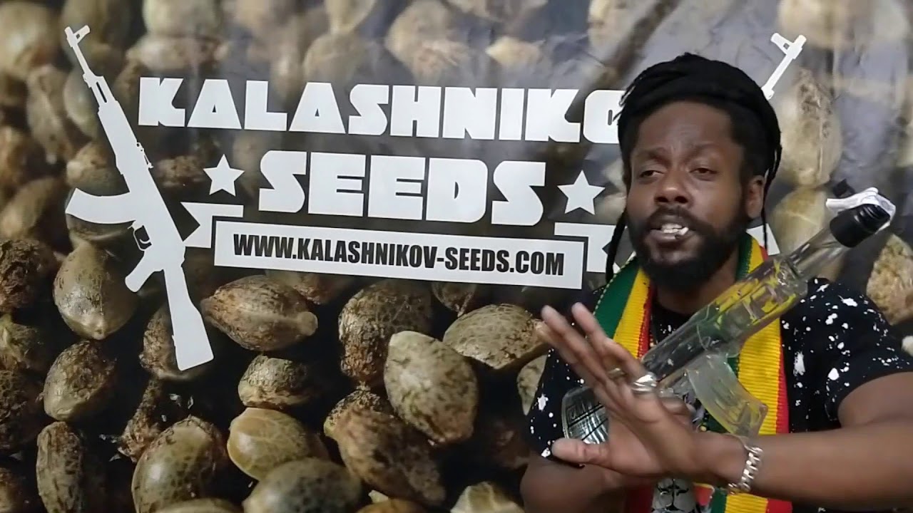 Kalashnikov Seeds stand, Spannabis - 2018
