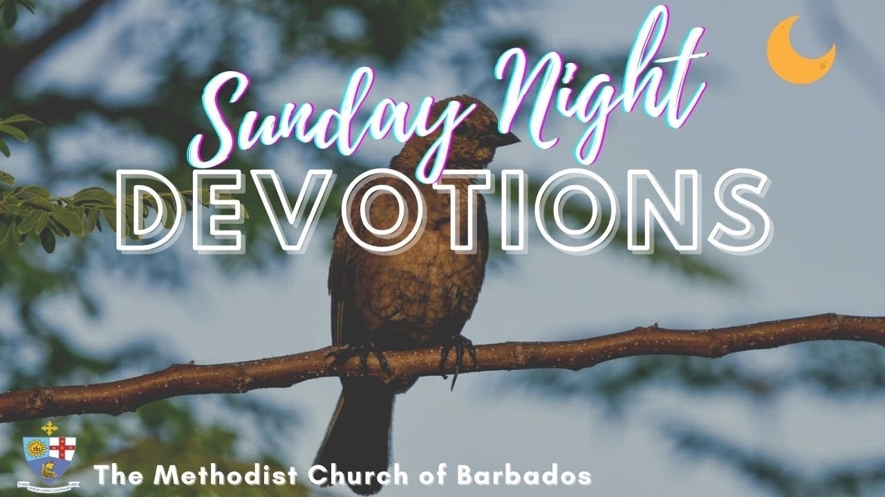 Daily Devotions - January 11th, 2026