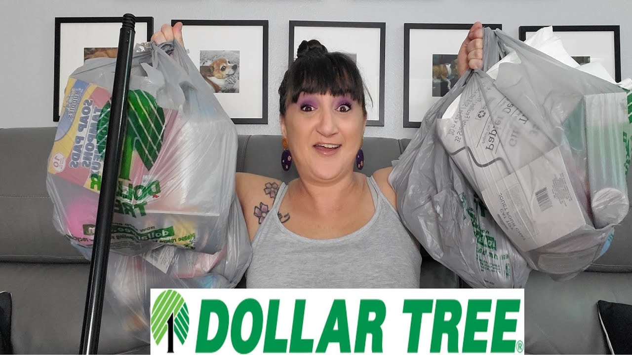 DOLLAR TREE Haul | July 2023 | Functional And Fun