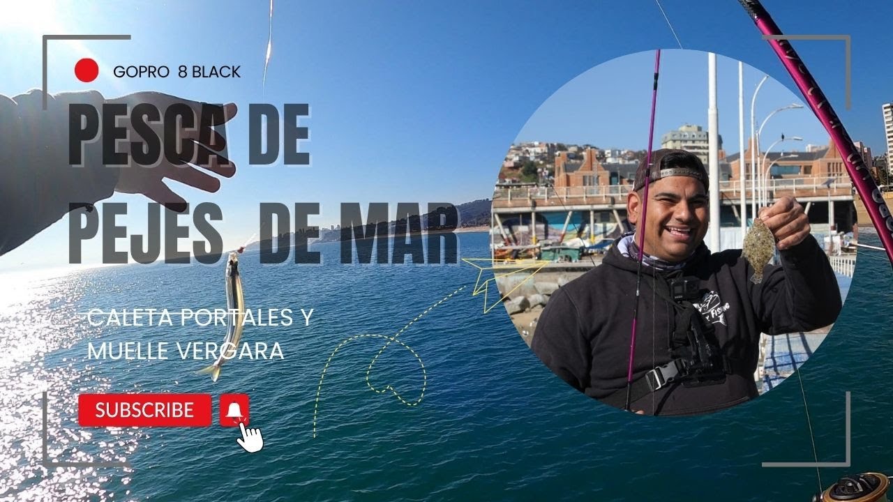Pesca de pejerreyes de mar en el muelle Portales + Vergara