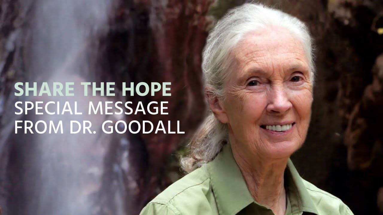 The Book of Hope - Share the Hope - Special Message from Dr. Goodall