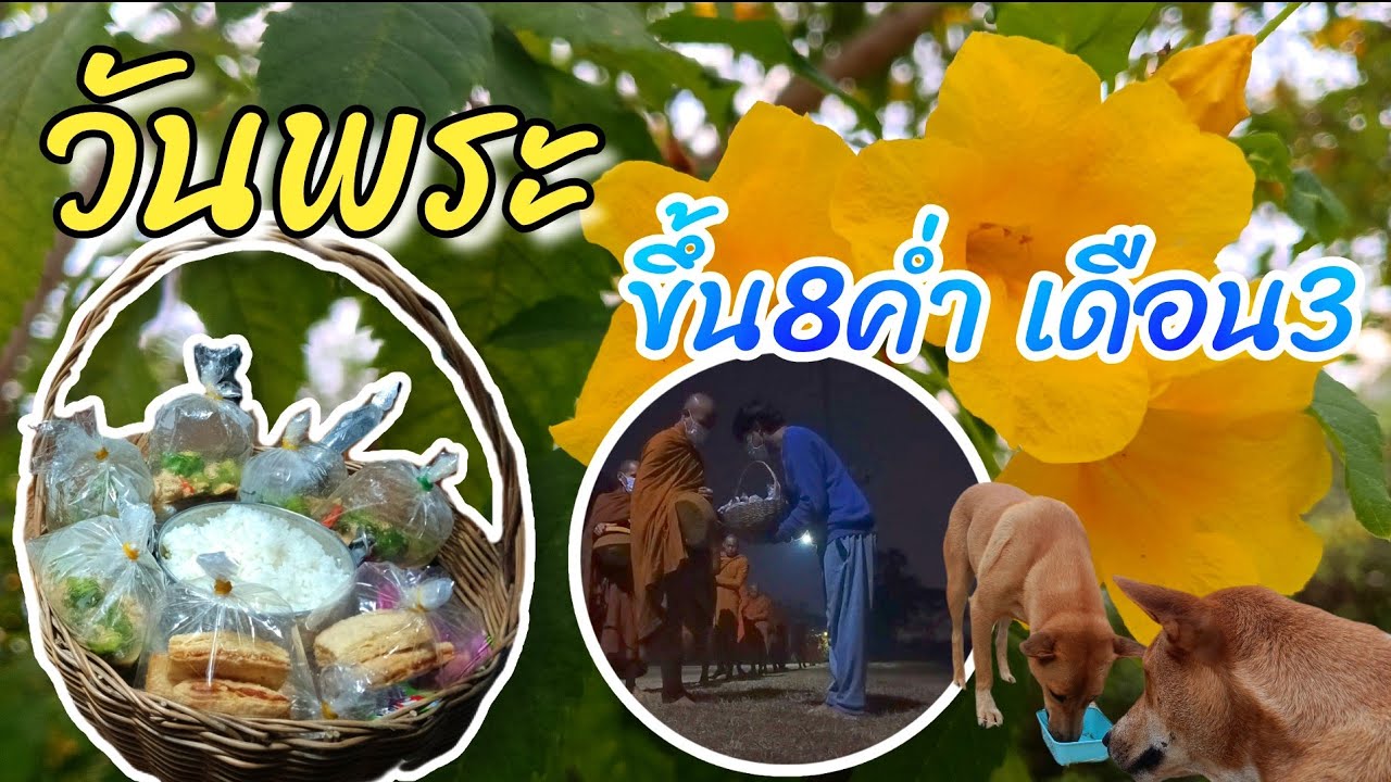 🔴🐼LIVE วันพระ ขึ้น8ค่ำ เดือน3 ทำบุญตักบาตรจิตใจแจ่มใสเช้านี้ที่วัดมเหยงคณ์ #อยุธยา #Nopนพพลสตอรี่