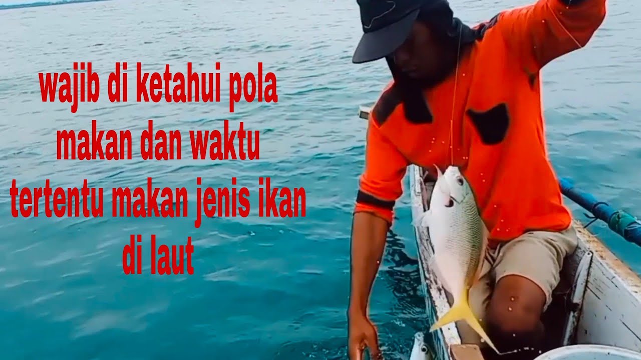 Mancing rappo rappo menggunakan rinta halus#papa rette mania