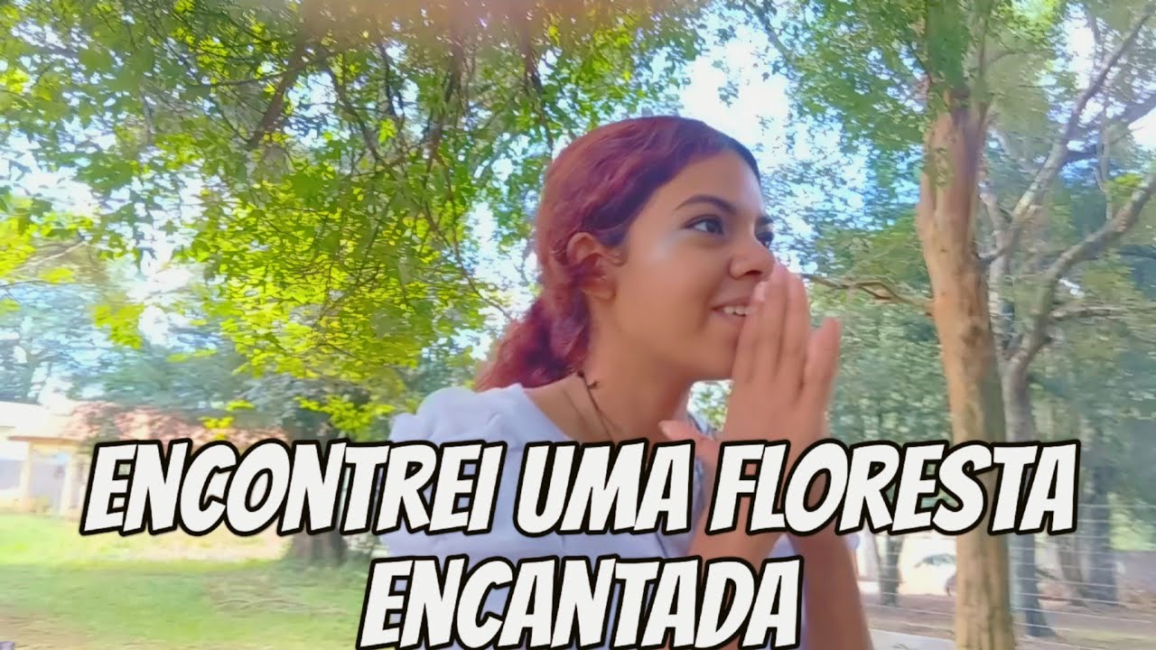 😲✨ Achei uma floresta que parece de filme!#floresta #magic 