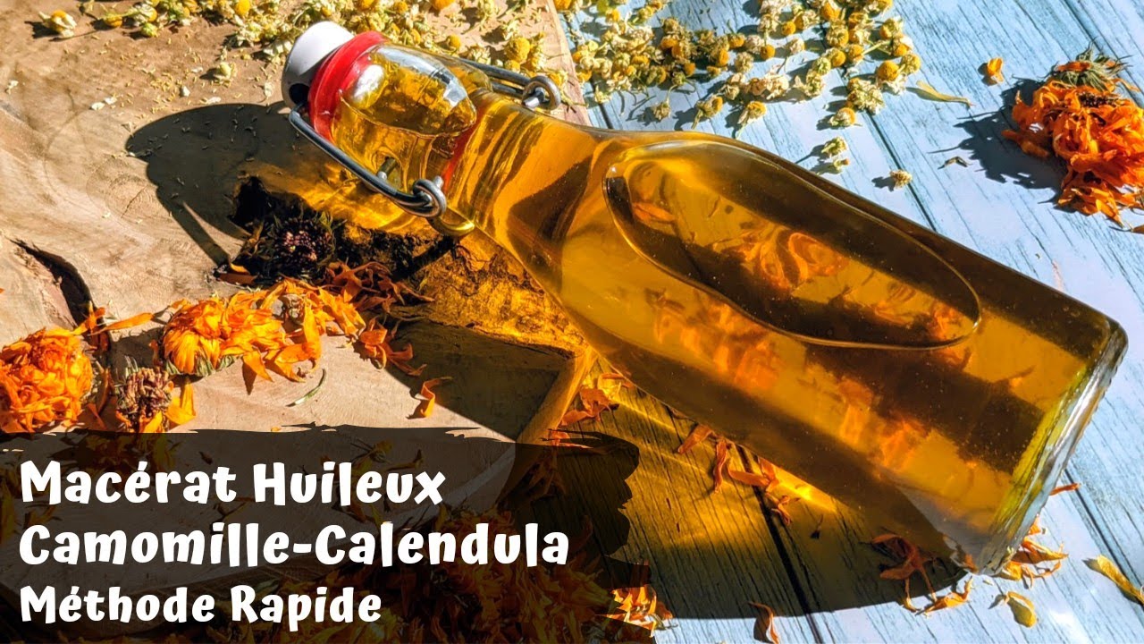 Macérat Huileux Camomille-Calendula | Méthode Rapide à Chaleur Douce