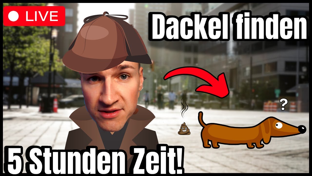 Dackel Detektiv: Kann ich ihn in 5 Stunden finden? LIVE!