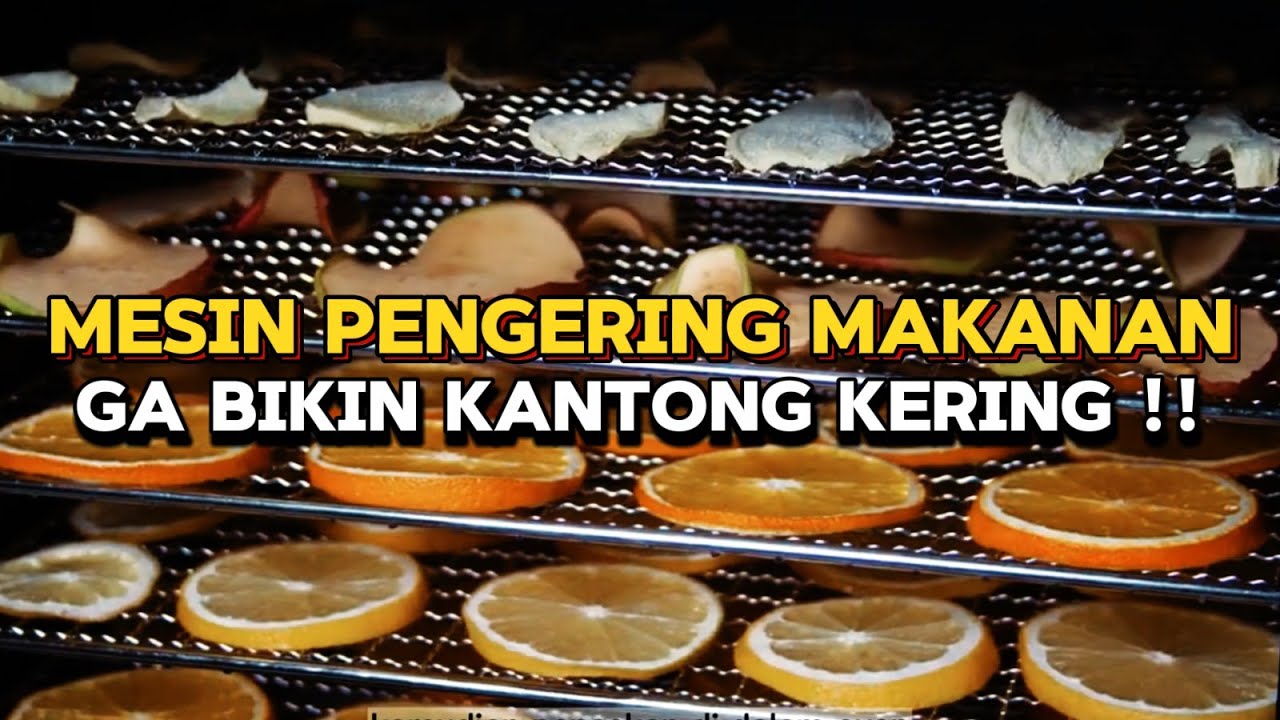 Mesin Pengering Makanan Food Dehydrator Terbaik Upgrade! Cocok Keringkan Buah, Sayur, dan Daging!