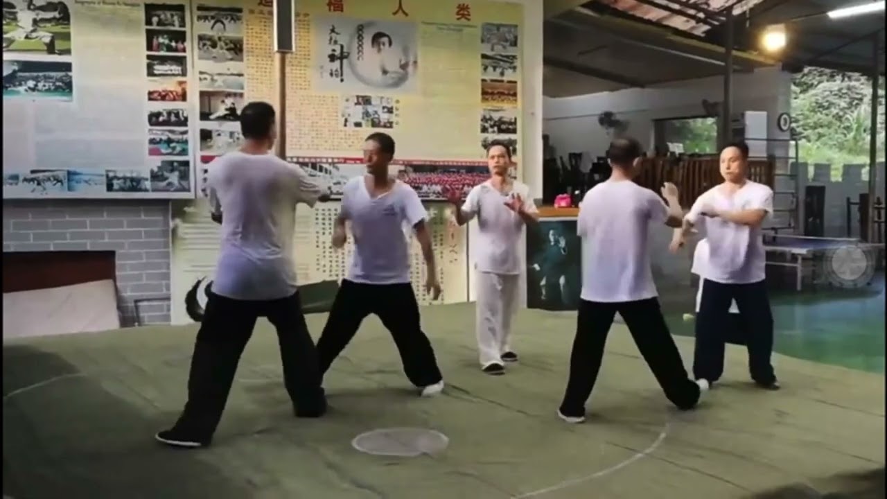 Tuishou, Maestro Fu Nengbin