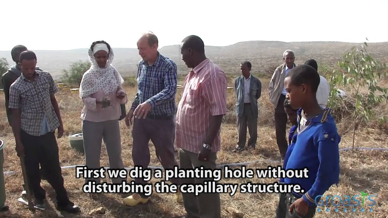 Planting trees in Ethiopian with 90% less water, no irrigation and no energy