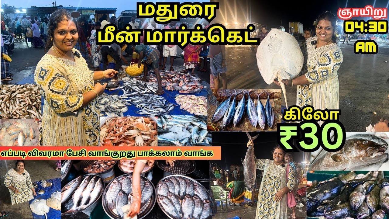 மதுரையில் Fresh மீன் விலை & Market Scene! 🐬| Madurai Fish Market Tour |  mattuthavani fish market