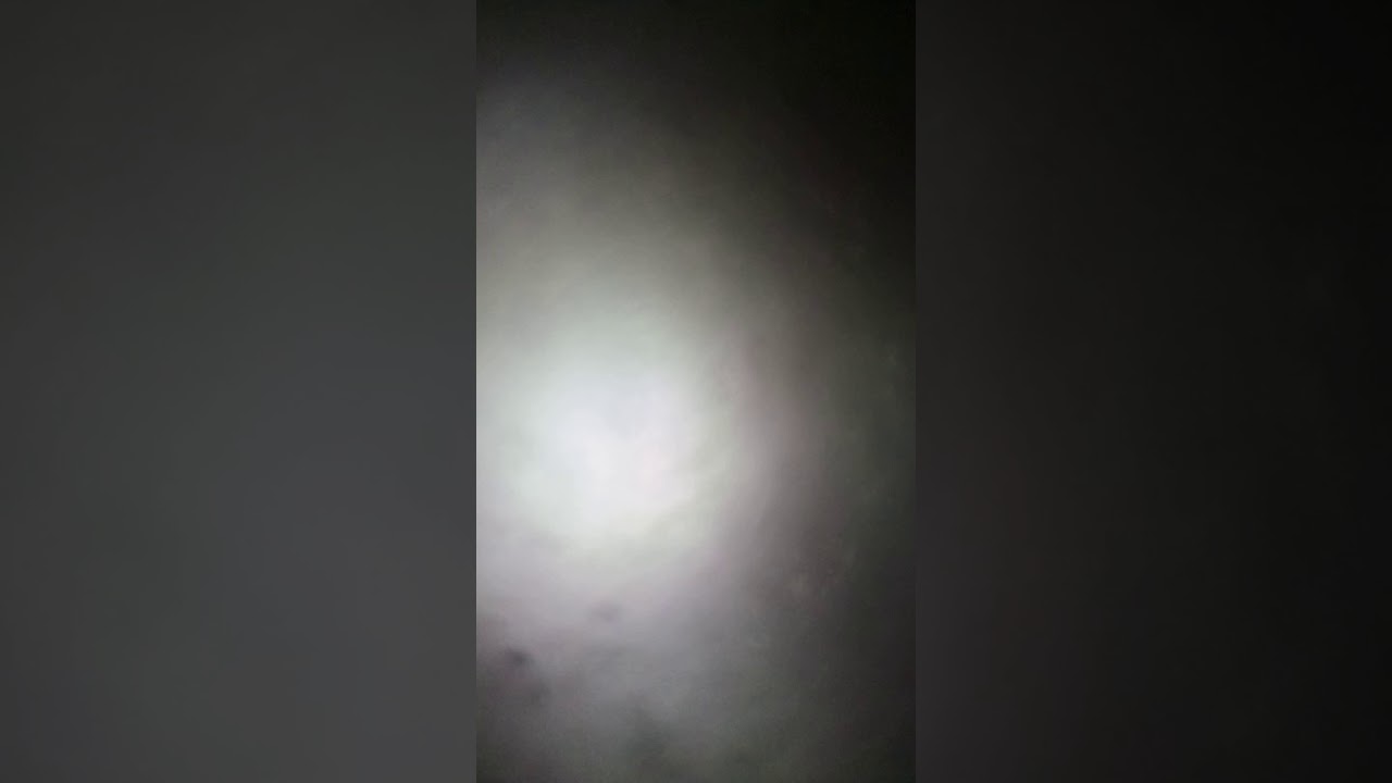 محمد عبيد الرشيدي(2)