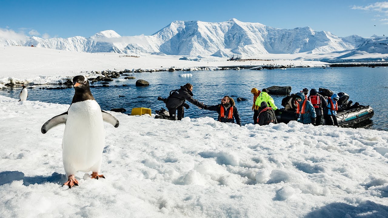 Basecamp Antarctica