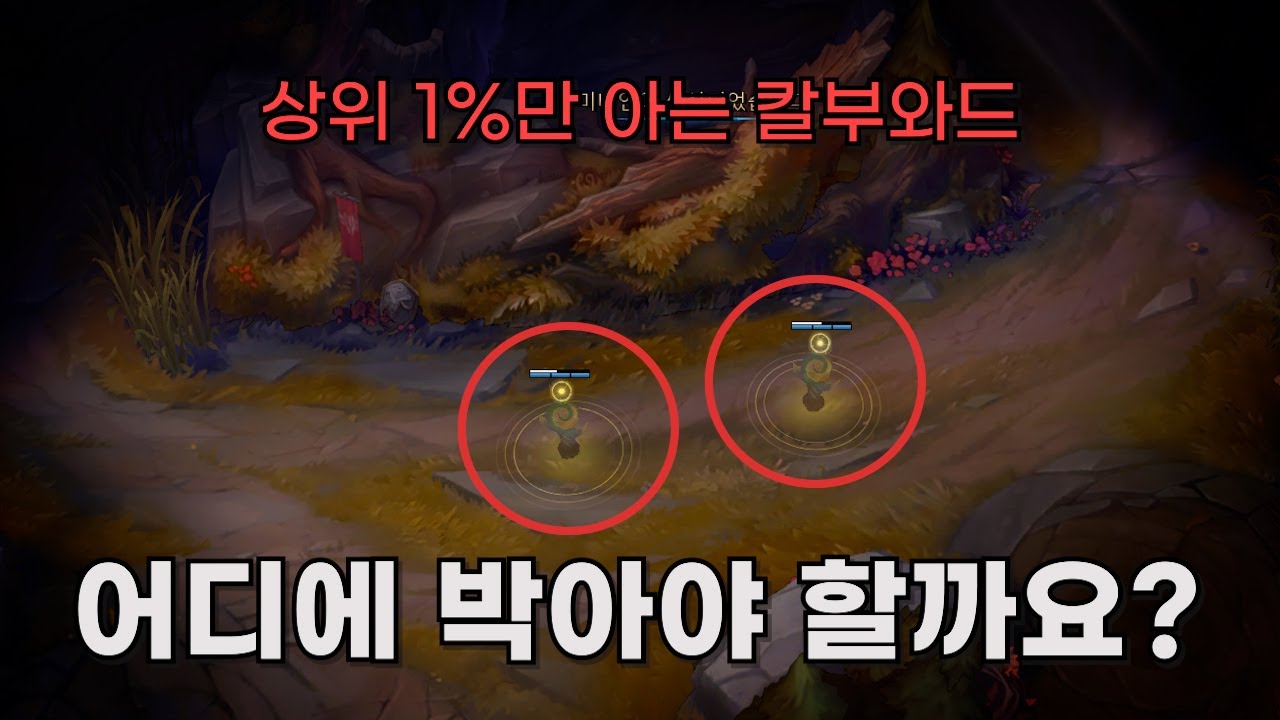 ' 칼부 와드' 아무데나 박지 마세요! 티어 상승 도움 【정글 근거설명】