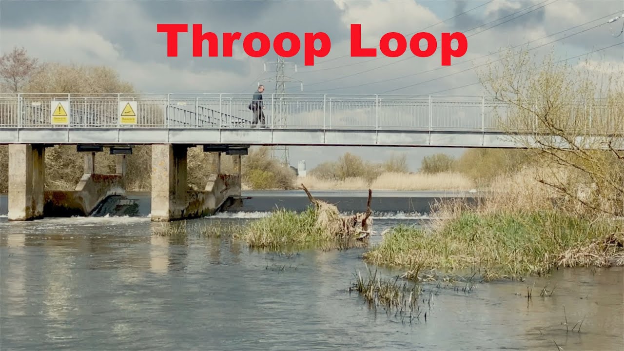 Throop Loop
