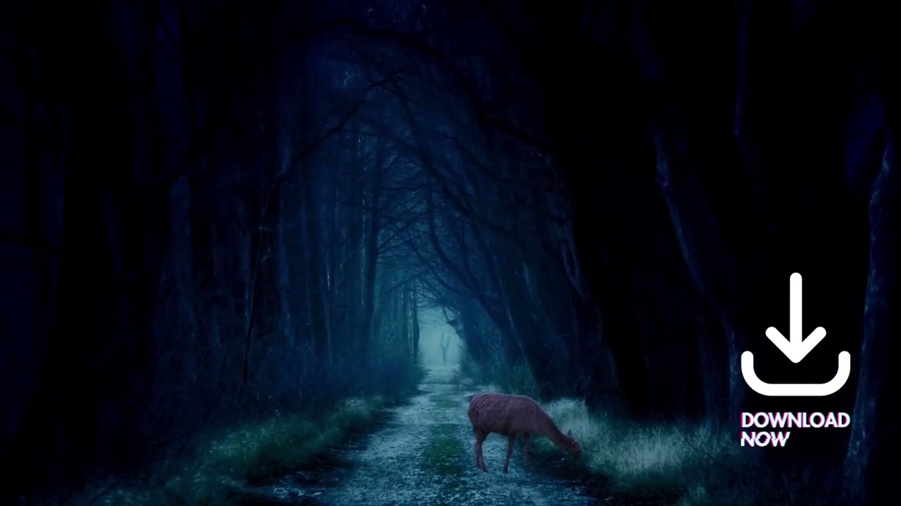 HALLOWEEN HORROR SOUND LURKING MONSTER - FREE SOUND EFFECTS #1
