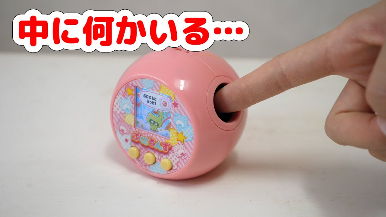 実際に触れられるお世話トイ「ぷにるんず」育ててみたら…【 こうじょうちょー  】