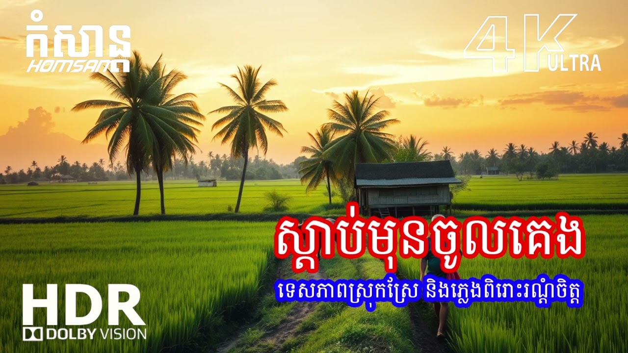 🌌 សម្លេងស្ងប់ស្ងាត់ស្ដាប់ពេលរាត្រី – ភ្លេងទន់ភ្លន់សម្រាប់គេងលក់ជ្រាលជ្រៅ