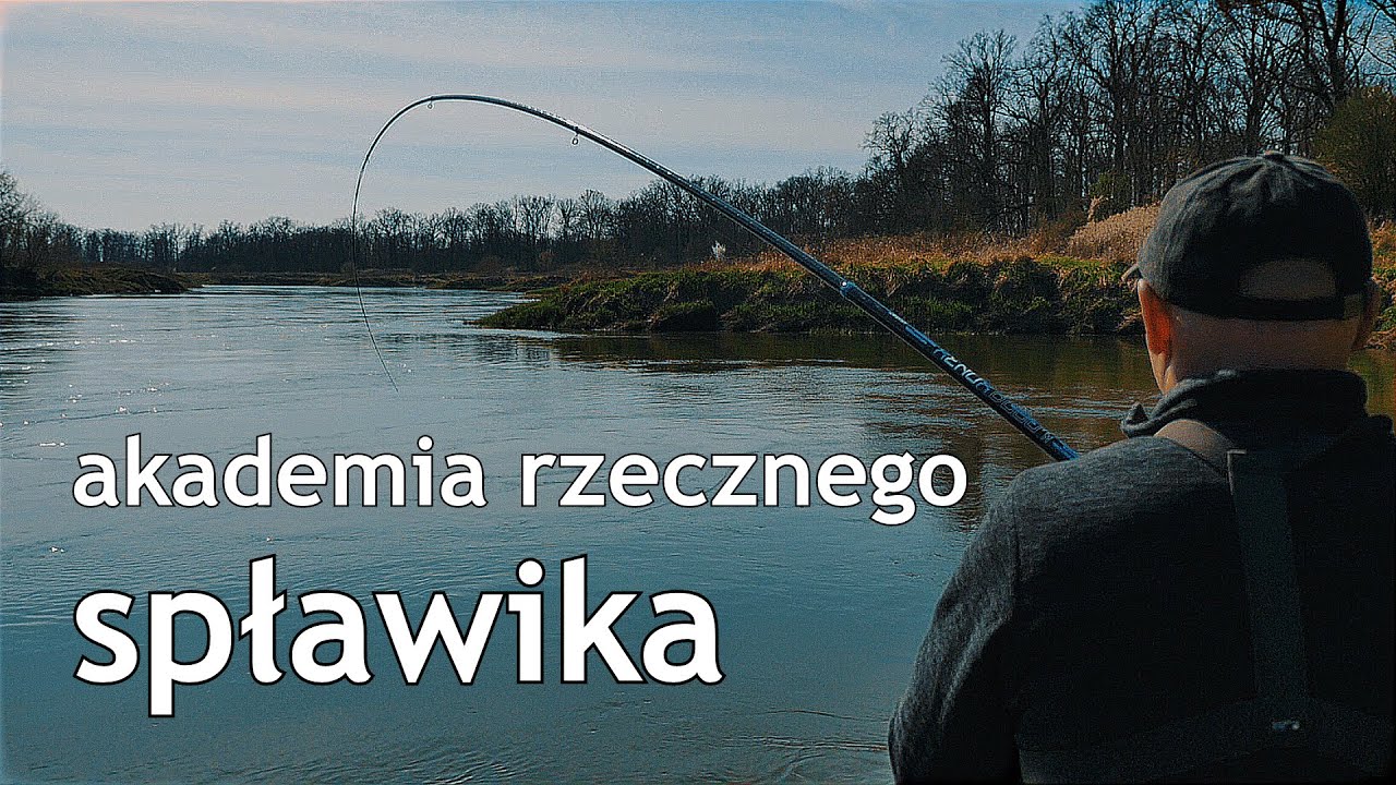 Akademia rzecznego spławika. Bolonka niskobudżetowa Delphin. Cz 1