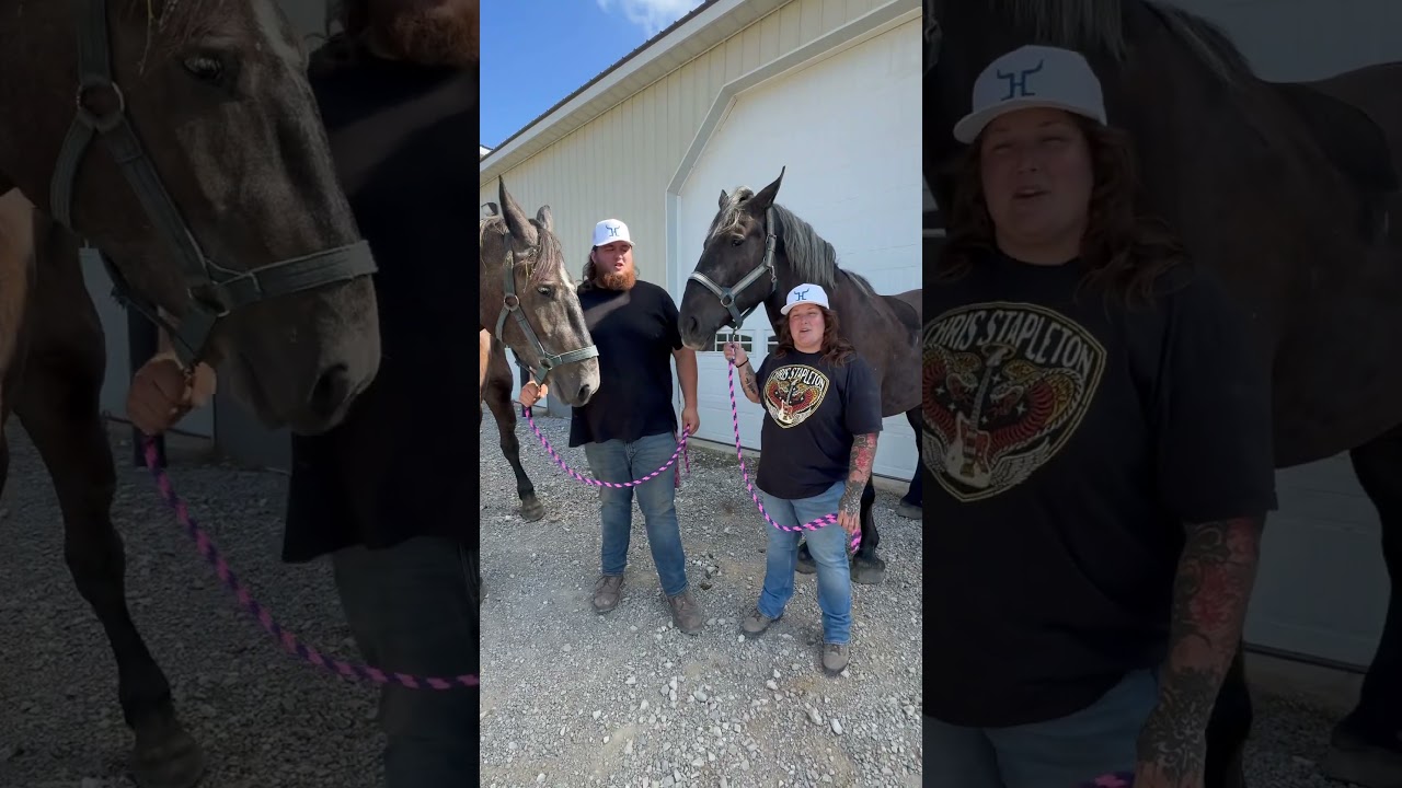 Customer Testimonial :  Horse Tours of Gettysburg Pennsylvania #historicpa #philadelphiahistory