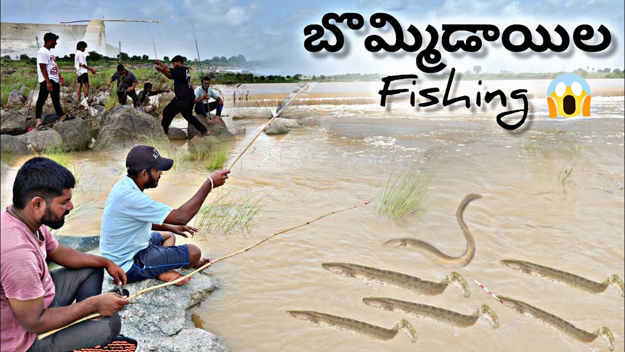 Bommidayala fishing|| బొమ్మిడాయిల ఫిషింగ్  జల్దీ వచ్చి మీరు కూడా పట్టుకోండి
