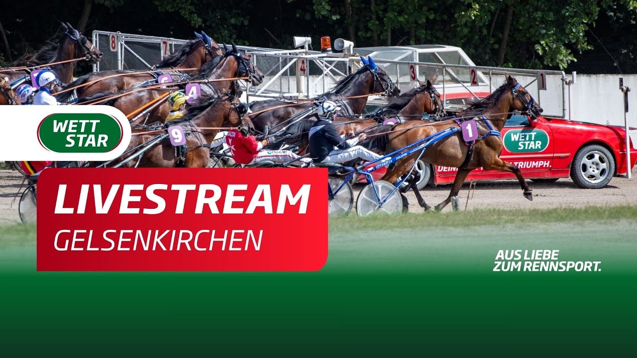 Livestream 10.01. Gelsenkirchen