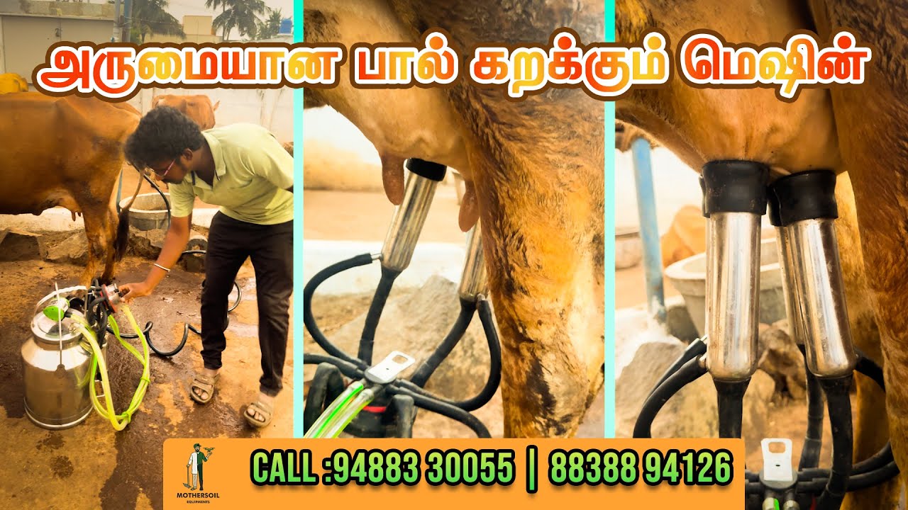 🐄 Fixed Model Milking Machine – விவசாயிகளுக்கான சிறந்த தீர்வு!