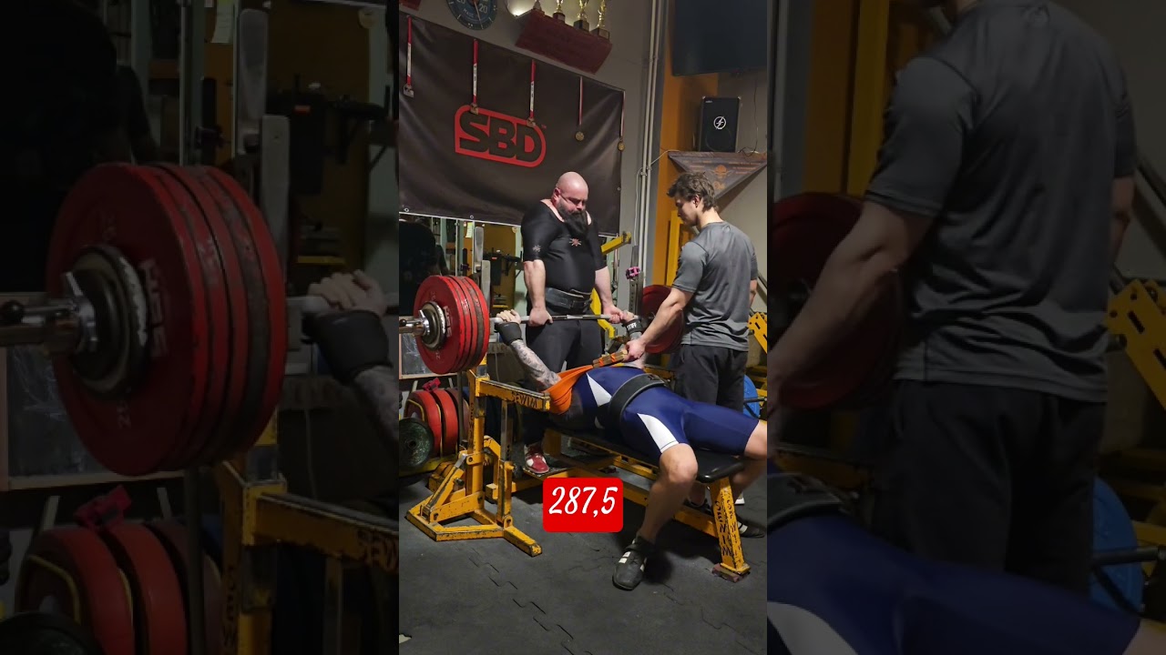 Жим лежа 287,5 кг #zigizmynd #live #motivation #sports #power #monster #powerlifter #benchpress