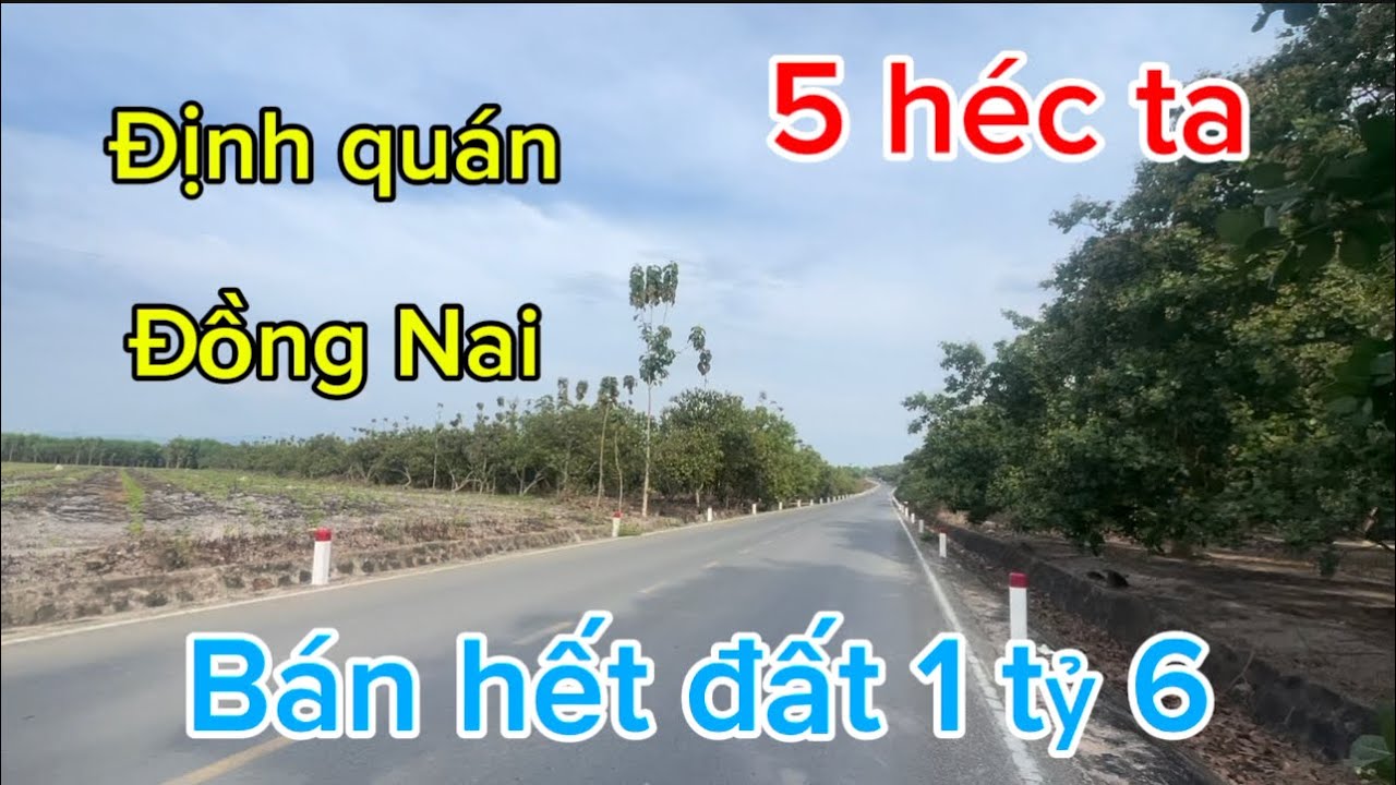 Cần bán 5 héc ta đất nông nghiệp giá rẻ mặt tiền đường nhựa lớn thông thương 