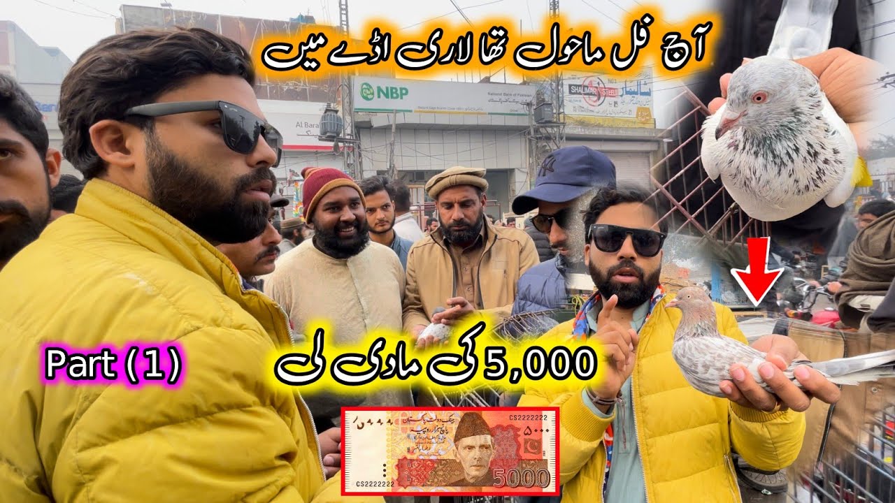Aj Full Mahool Tha Lari Aday Main 🔥