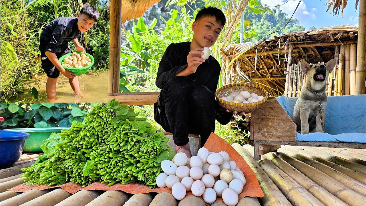 Nam's ducks lay a lot of eggs in the pond. Nam collects duck eggs and picks vegetables to sell